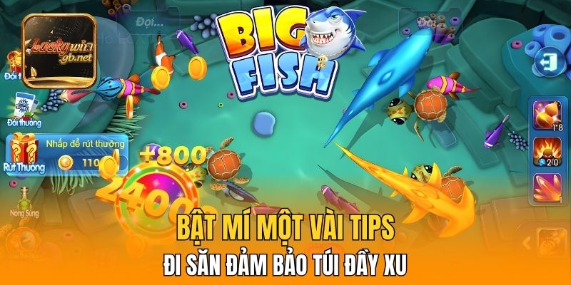 Bật mí một vài tips đi săn đảm bảo túi đầy xu