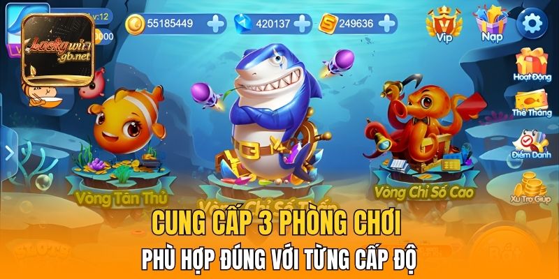 Cung cấp 3 phòng chơi phù hợp đúng với từng cấp độ