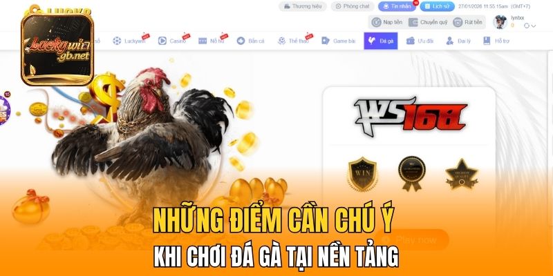Những điểm cần chú ý khi chơi đá gà tại nền tảng